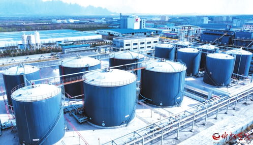 原平經(jīng)濟(jì)技術(shù)開發(fā)區(qū) 引領(lǐng)新星炭黑產(chǎn)業(yè)升級(jí)的技術(shù)咨詢探索